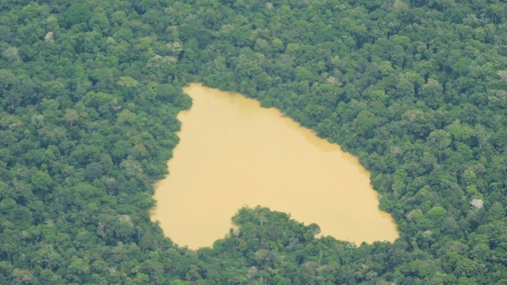 31.03 Amazonia