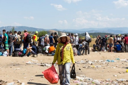 estudio_sobre_las_casas_de_migrantes